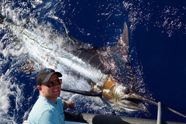 Congratulations Matt White with his 900 + Blue Marlin in August 2021