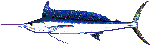 spear