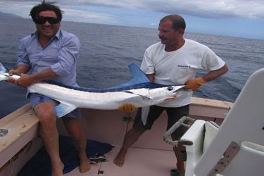 Madeira Photo gallery