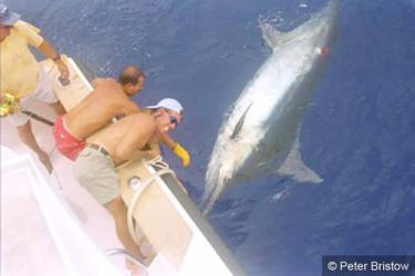 IGFA donation