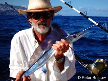 Smallest Billfish off Madeira