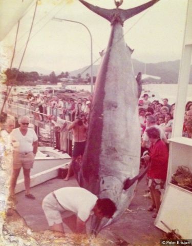 Cairns - 1973